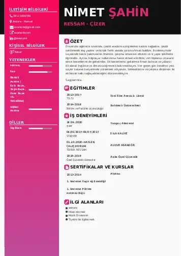 Ressam Cv Örnekleri cv indir